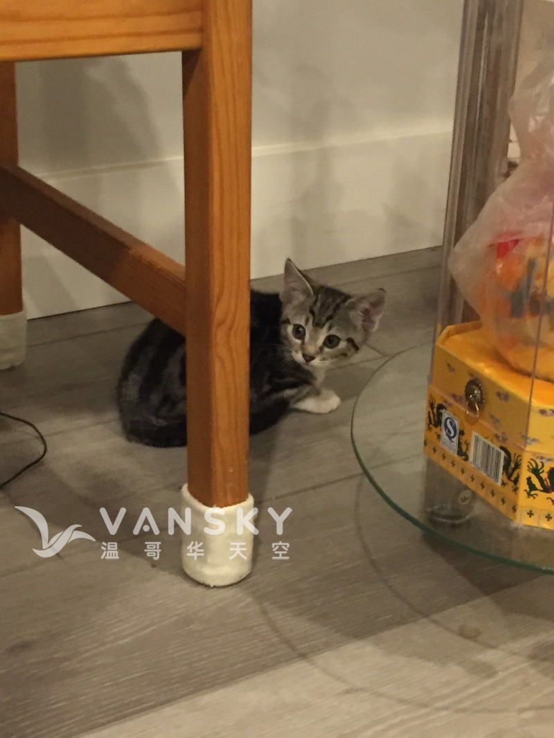 250930143611_IMG_6778 1.jpeg